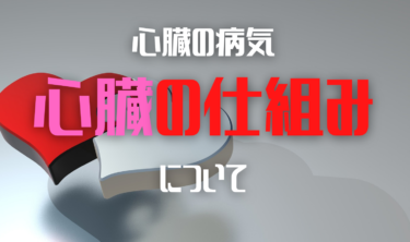 【専門医が解説】心臓の仕組みについて