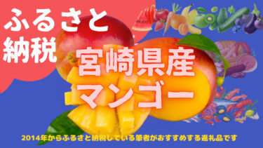 【期間限定】宮崎県の完熟マンゴー【おすすめふるさと納税】